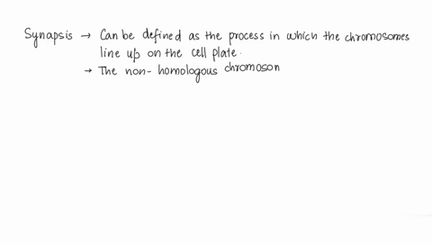 the-term-synapsis-is-associated-with-which-process-14473