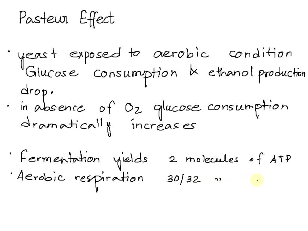 SOLVED Pasteur Effect and Aerobic/Anaerobic Glycolysis Yeast is a