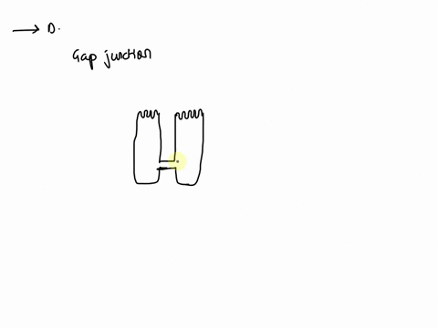 which-letter-indicates-tunnel-like-junctions-in-the-lateral-membranes-of-adjacent-epithelial-cells-13342