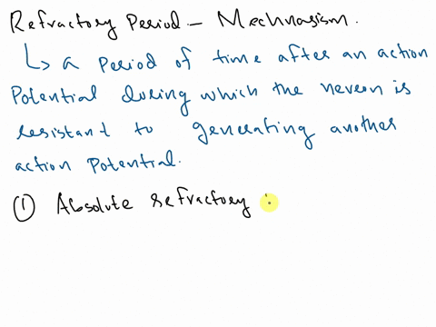 immediately-after-the-repolarization-phase-of-an-action-potential-the-neuronal-membrane-is-temporari-08473