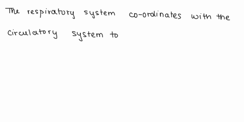 question-1-15-pts-the-respiratory-system-coordinates-with-the-remove-system-to-provide-and-circulatory-system-co2-02-endocrine-systcm-02-c02-lymphatic-system-no2-co2-circulatory-system-02co2-52754
