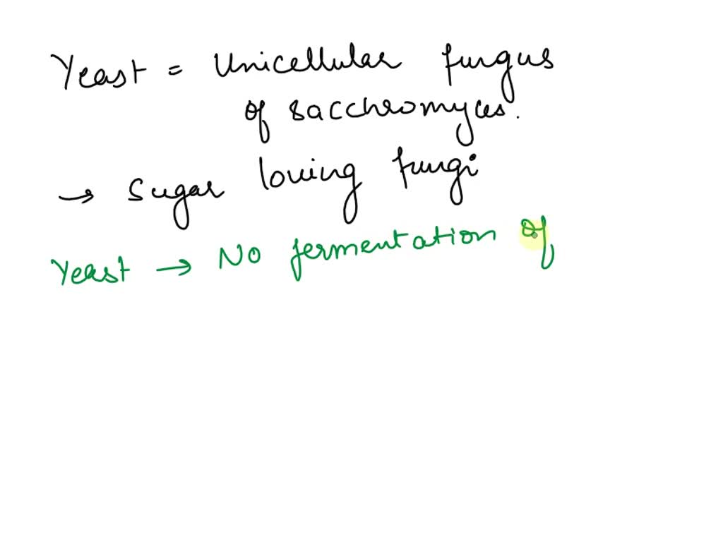 SOLVED Is yeast able to ferment lactose and galactose as effectively