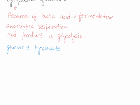 under-laboratory-conditions-muscle-cells-were-broken-up-and-separated-into-fractions-containing-mitochondria-only-mitochondria-cell-fraction-or-all-cellular-components-except-mitochondria-cy-58022