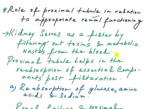 discuss-renal-failure-list-and-discuss-the-four-main-roles-of-the-proximal-tubule-in-reabsorption-from-the-filtrate-back-to-the-blood-31792