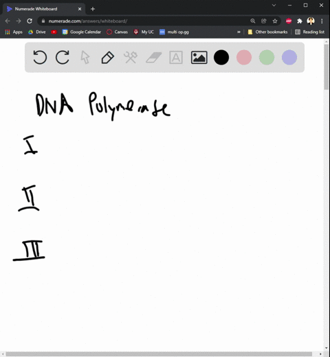 what-are-the-functions-of-dna-polymerase-1-2-3-in-the-dna-replication-fork-in-e-coli-58778