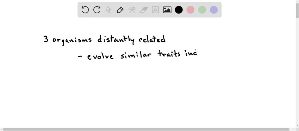 SOLVED:Aardvarks, anteaters, and pangolins are only distantly related