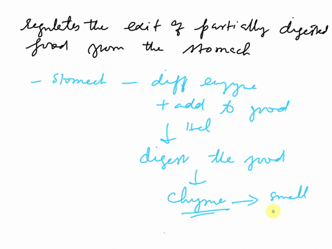 what-regulates-the-exit-of-partially-digested-food-from-the-stomach-14732