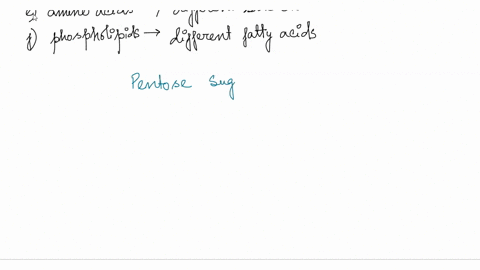question-4-2-points-consider-the-polymer-below-how-can-you-best-describe-each-of-the-letters-used-to-build-this-molecule-5ttacgacg-3-3-aatgctgc-5-nucleotides-containing-different-nitrogenous-92353