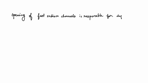 fig-1-cardiac-action-potential-opening-of-what-channels-is-responsible-for-the-rapid-depolarization-phase-of-the-cardiac-contractile-cell-action-potential-hint-refer-to-figure-1-a-funny-chan-31413