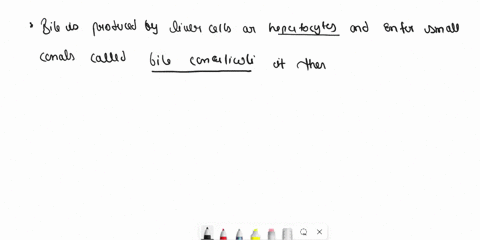 4-bile-is-produced-by-liver-cells-or-called-and-enters-small-canals-it-then-leaves-the-liver-through-many-smaller-that-eventually-fuse-to-form-the-large-which-that-duct-fuses-with-the-which-83877