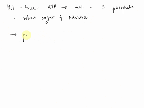 which-of-the-following-is-not-true-of-atp-it-is-created-byuses-energy-from-anabolic-reactions-it-contains-adenine-as-the-nitrogenous-base-it-is-created-byluses-energy-from-catabolic-reaction-28619