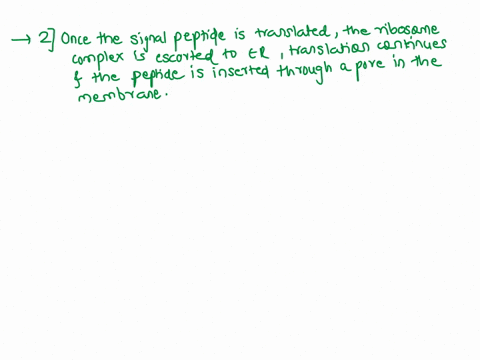 how-does-a-plasma-membrane-protein-become-imbedded-in-the-membrane-options-ribosomes-enter-the-endoplasmic-reticulum-and-make-the-proteins-within-the-er-once-the-signal-peptide-is-translated-78509