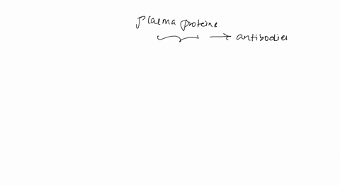 what-type-of-plasma-protein-are-antibodies-tramsport-protein-immune-protein-clotting-protein-lipoprotein-65953