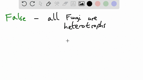 fungi-obtain-nutrients-through-photosynthesis-true-false-13465