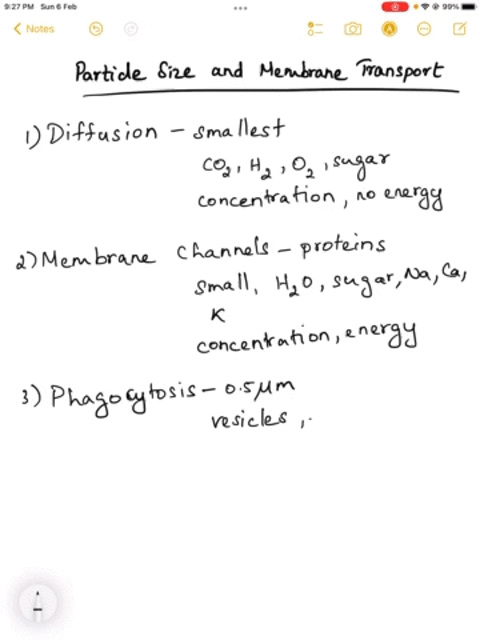 ist-attempt-cells-need-to-be-able-to-move-particles-of-a-variety-of-different-sizes-through-the-membrane-and-into-the-cell-rank-the-following-methods-of-transmembrane-movement-based-on-how-l-96048