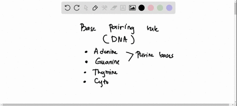 what-are-the-base-pairing-rules-for-dna-a-a-g-t-c-b-a-c-t-g-c-a-t-g-c-d-a-a-g-g-c-c-t-t-09701