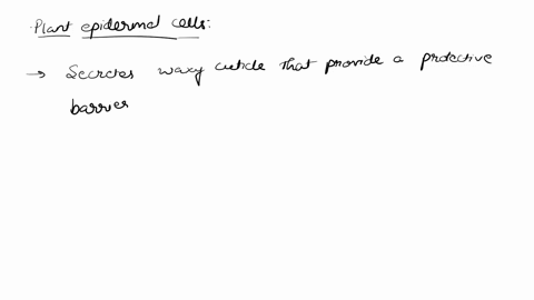 question-2-1-point-all-of-the-following-are-primary-roles-of-plant-epidermal-cells-except-changing-the-shape-of-cells-in-response-to-osmosis-capturing-coz-and-doing-photosynthesis-regulating-21694