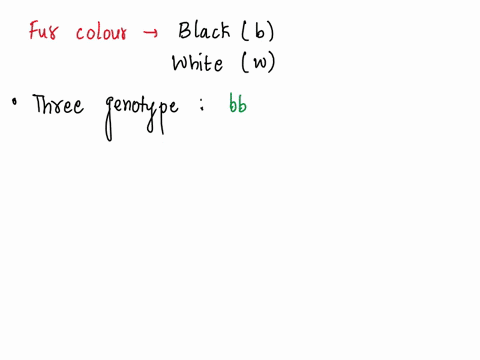 say-a-particular-horse-breed-has-2-alleles-for-fur-color-that-display-incomplete-dominance-black-b-white-w-what-3-genotypes-could-this-breed-have-and-what-would-the-phenotype-of-each-look-li-89155