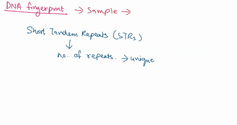 dna-fingerprinting-by-pcr-relies-on-the-fact-that-different-individuals-have-different-_-numbers-of-repeats-in-vntr-variable-number-of-tandem-repeats-regions-in-their-genomes_-atrue-b-false-45405