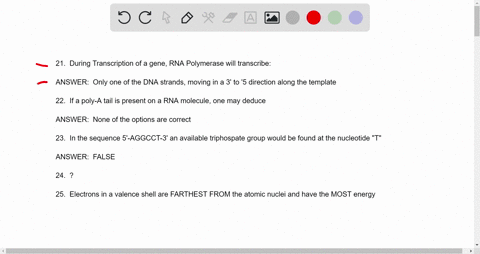 during-transcription-of-particular-gene-the-rna-polymerase-will-transcribe-both-strands-but-only-one-of-rna-molecule-will-be-used-only-one-of-the-dna-strands-moving-in-a-3-to-direction-along-23497
