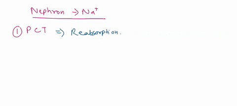 in-which-part-of-the-nephron-is-nat-reabsorbed-select-one-a-distal-tubule-b-ascending-limb-of-the-loop-of-henle-descending-limb-of-the-loop-of-henle-d-none-ofthe-above-51109