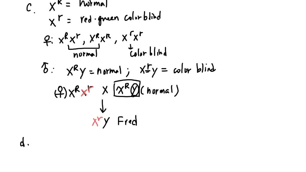 solved-question-12-co-dominance-a-if-a-woman-has-blood-type-a-and