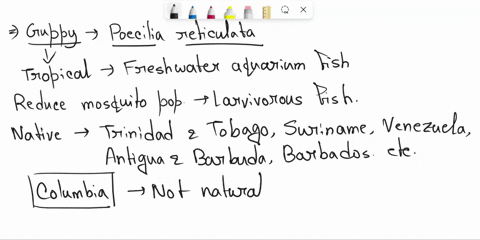 ferale-male-q6-which-of-tha-following-locatlons-ratlculata-was-not-indlcated-a8-part-of-tho-natural-rongo-gupples-poecllla-venezuela-trinidad-tobago-columbia-q7-in-endlers-study-after-20-mon-83629