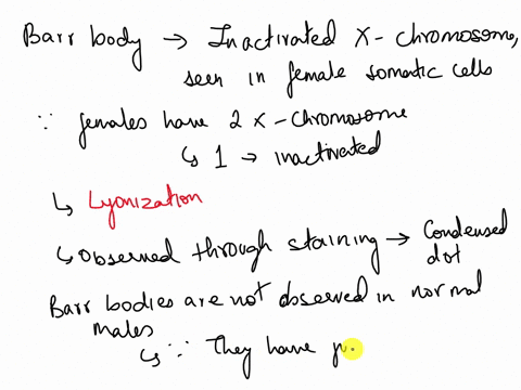 how-many-barr-bodies-are-found-per-cell-in-each-of-the-following-situations-a-male-with-klinefelter-syndrome-a-female-with-triplo-x-syndrome-that-has-gene-deletion-such-that-the-xic-regions-81094