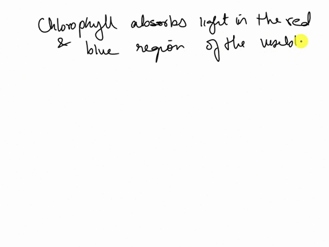 most-plants-appear-green-because-chlorophyll-a-absorbs-green-light-b-absorbs-violet-light-c-does-not-absorb-green-light-d-does-not-absorb-violet-light-48432