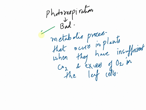 3-why-is-photorespiration-bad-for-plants-a-it-decreases-the-uptake-of-coz-juel-rodriqutz-ta_-b-it-limits-the-transfer-of-photons-to-chlorophyll-a-c_-it-leads-to-oxidation-of-chloroplasts-d-i-87433