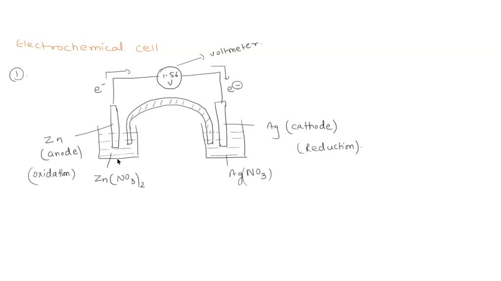 SOLVED Draw and label the parts of an operating electrochemical cell