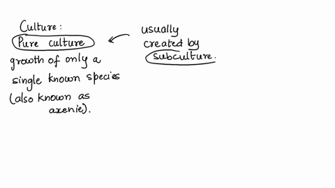 differentiate-between-a-pure-culture-subculture-mixed-cultureand-contaminated-culture-define-contaminant-42623