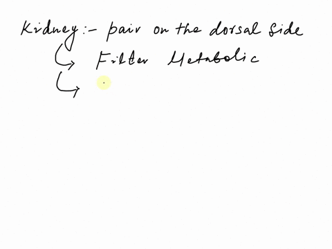 which-of-the-following-function-is-not-related-to-kidney-a-osmoregulation-b-regulation-of-blood-ph-c-maintaining-body-temperature-d-maintaining-blood-plasma-composition-40444