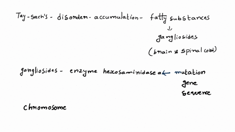 tay-sachs-disease-is-a-disorder-characterized-by-an-accumulation-of-fatty-substances-called-gangliosides-in-the-brain-and-spinal-cord-one-cause-of-the-disease-is-a-mutation-in-the-gene-seque-84918
