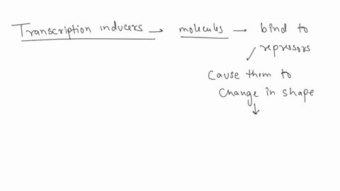 which-of-the-following-statements-is-true-with-respect-to-transcription-inducers-a-they-increase-transcription-by-increasing-the-rate-of-initiation-b-they-decrease-transcription-by-increasin-85465