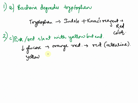 how-would-vou-nave-interpret-e-that-jpdly-tolloring-tuiblaily-bacterium-tnrolehoul-moti-ubr-bacterium-degrades-pink-color-after-adding-thi-negatie-tryptophan-bucterium-402c-1-eult-teaenl-mt-98104