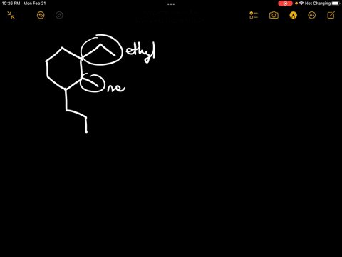 provide-the-iupac-name-of-the-cycloalkane-below-04157