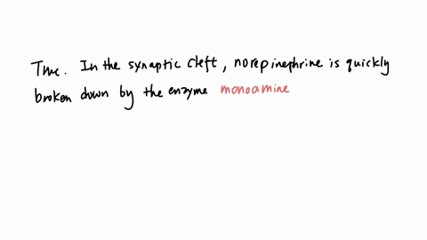 6-true-or-false-5-points-norepinephrine-is-easily-and-quickly-destroyed-by-an-enzyme-in-the-synaptic-cleft-true-false
