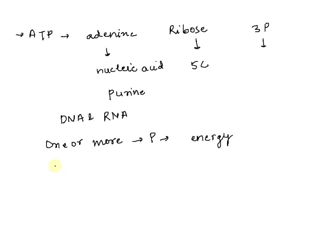 SOLVED What is the correct description of the components of an ATP