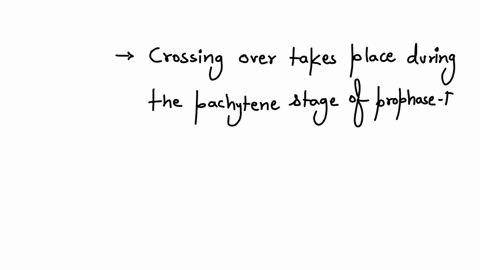 in-which-stage-of-prophase-i-does-the-process-of-crossing-over-take-place-1-leptotene-2-zygotene-3-pachytene-4-diplotene-57824