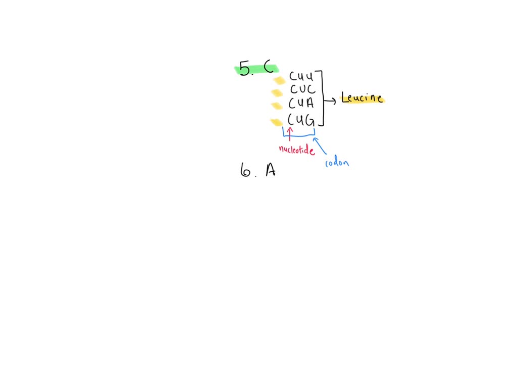 SOLVED: What does it mean when we say the genetic code is redundant? A ...