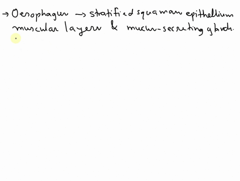 explain-how-the-structure-of-the-oesophagus-and-stomach-are-adapted-to-their-respective-functions-50315