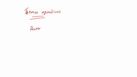 28-consider-the-following-the-ingredients-necessary-for-dna-synthesis-are-mixed-together-in-test-tube-afterwards-the-dna-polymerase-from-thermus-aquaticus-and-human-dna-are-added-following-a-48147