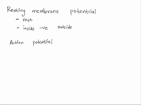 what-is-the-difference-between-the-resting-membrane-potential-and-an-action-potential-how-is-an-action-potential-generated-88323