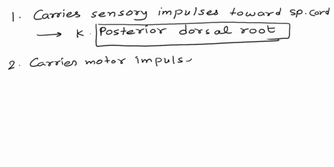 name-lab-partner-date-parta-match-the-term-with-its-correct-description-carries-sensory-impulses-toward-spinal-cord-adura-mater-2-carries-motor-impulses-away-from-spinal-cord-barachnoid-mate-25705