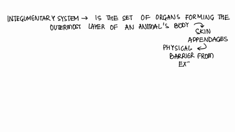 labeling-label-the-structures-of-the-integument-90034