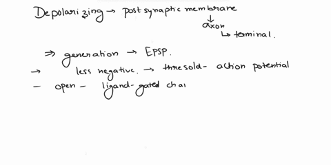 which-of-the-following-is-the-most-direct-results-of-depolarizing-the-postsynaptic-membrane-of-an-axon-terminal-a-an-ipsp-is-generated-in-the-postsynaptic-cell-b-an-epsp-is-generated-in-the-77435