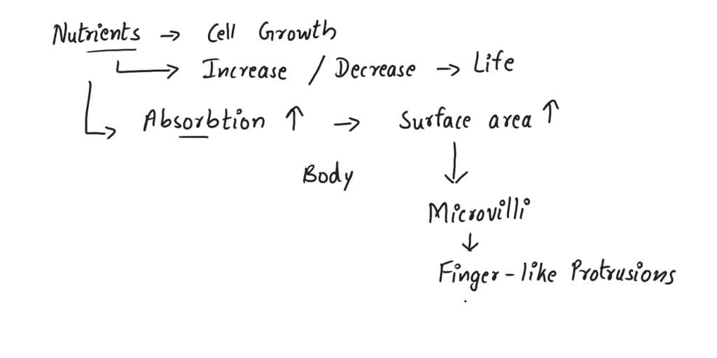 SOLVED: Part A Which of the following structures would aid a cell in ...