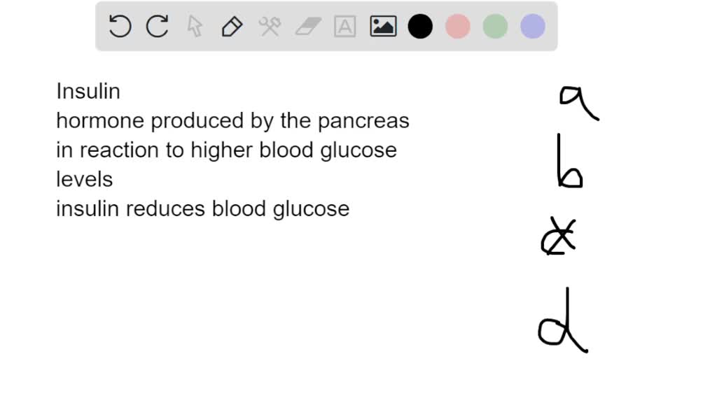 Which Of The Following Statements About Insulin Resistance Is True SOLVED: Which of the following statements about insulin is true? a