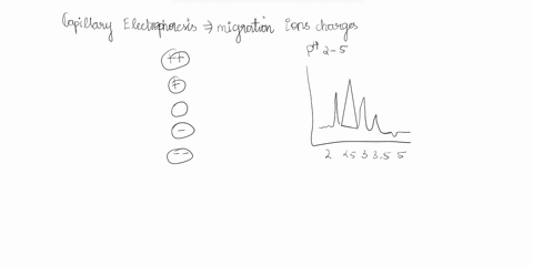 the-vector-diagram-below-figure-2b-shows-the-forces-neutral-acting-jnions-lecules-in-cations-and-conventional-capillary-electrophoresis-ce-separation-slc-tmotny-elesuferhorete-figure-zb-vect-94605